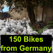 Foundation bike